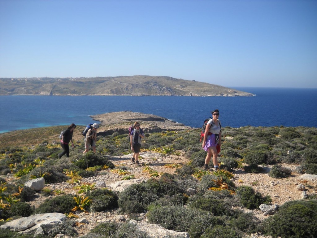 gozo malta